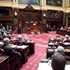 Princess Anne addresses the Senate